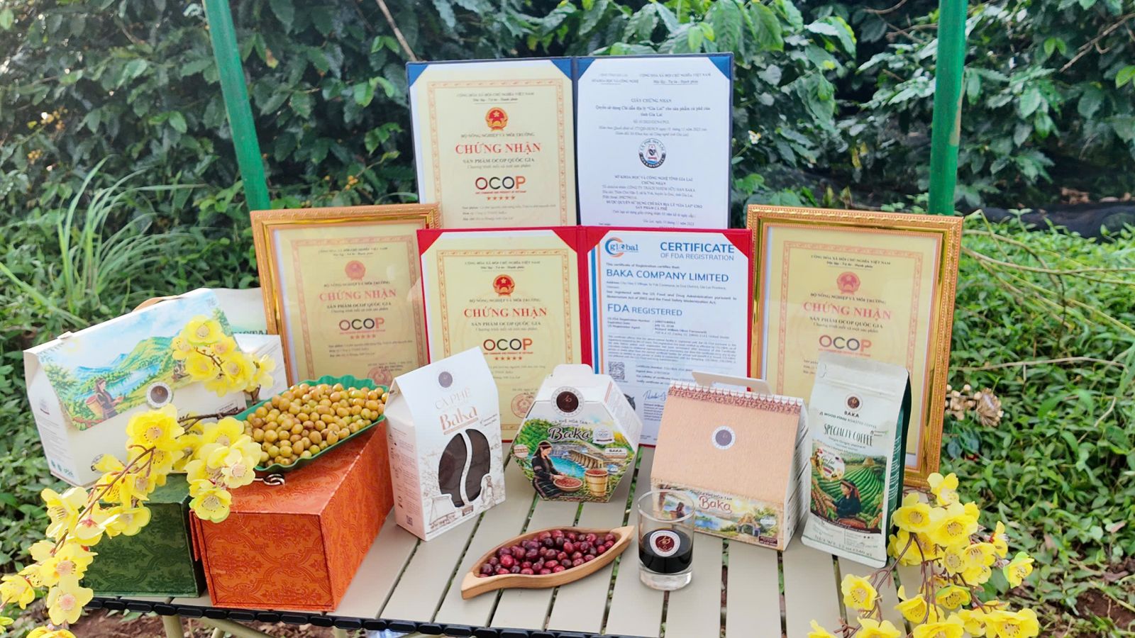 Quà tặng đặc sản Gia Lai cho doanh nghiệp từ Baka Coffee